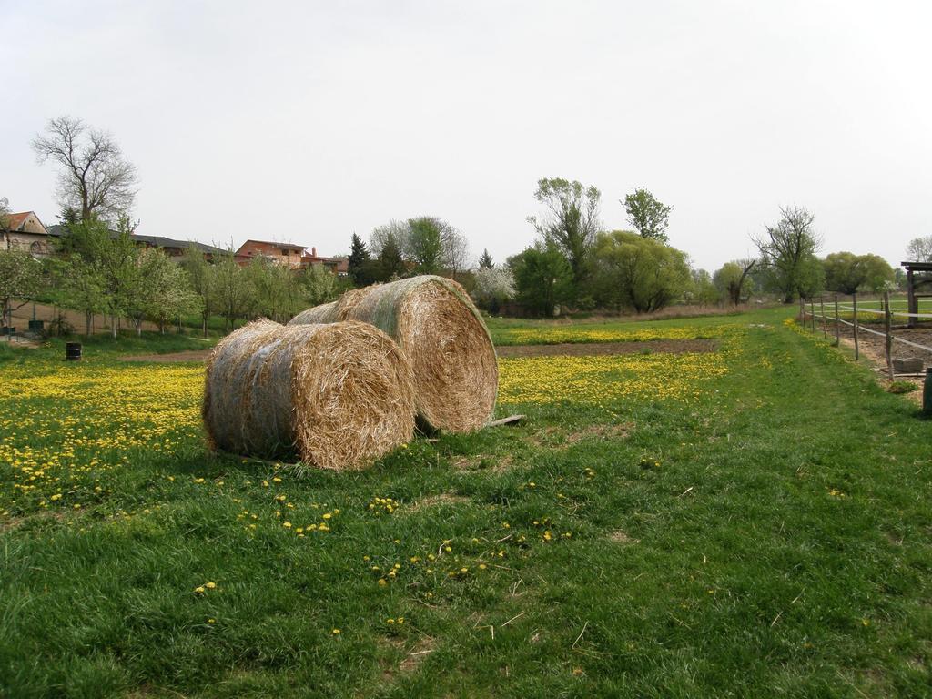 Vinny Sklep Kovarna Rohatec Exterior foto